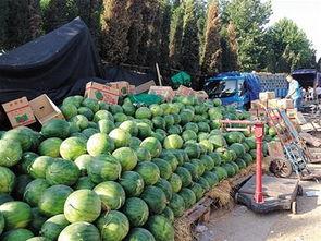 九一黑料吃瓜官方下载